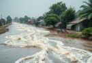 Flooding Crisis: Overflowing River Nile Displaces Thousands in South Sudan